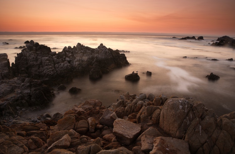 Asilomar State Beach, Monterey, California