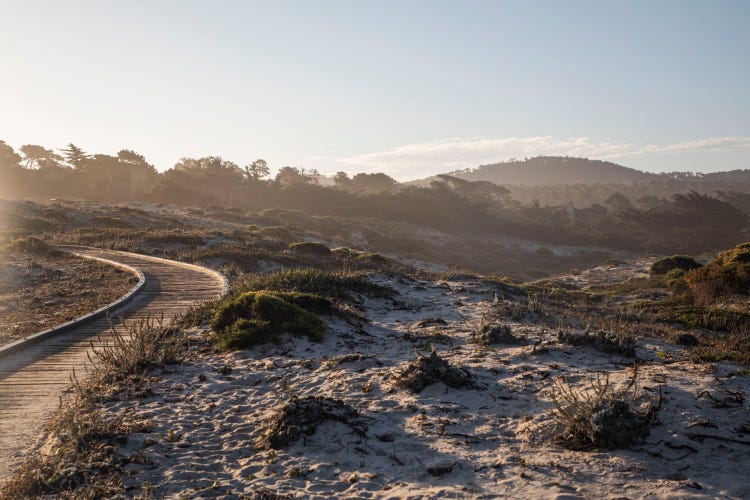 Wooden boardwalk winding through Asilomar’s coastal dunes at sunset.