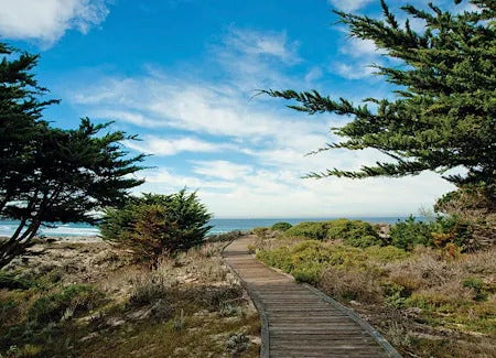 Beach boardwalk with the ocean in the distance
