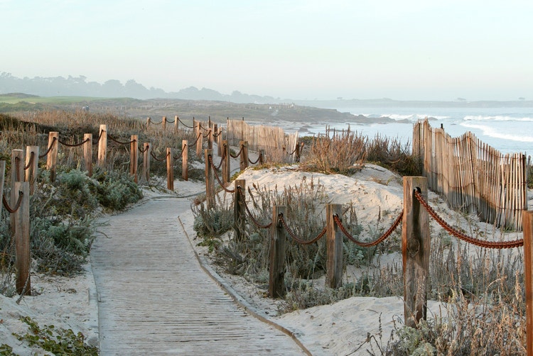 A narrow wooden boardwalk winds through sandy dunes toward the shoreline